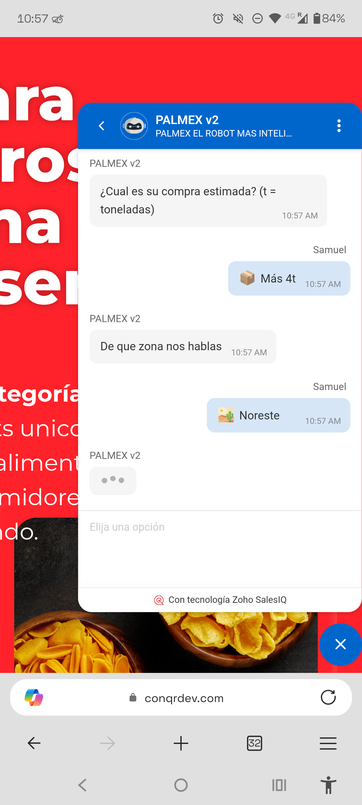 Chatbot preguntando el tonelaje mensual estimado y la zona geográfica