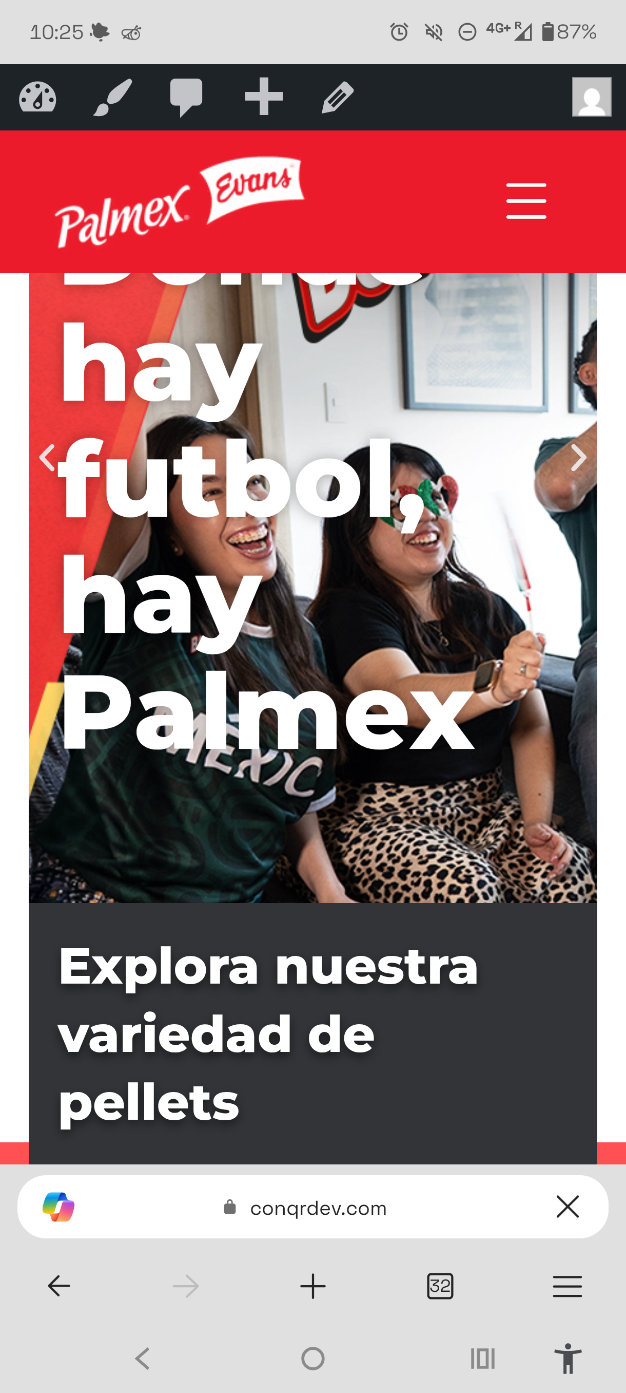 Banner hero del sitio de Palmex